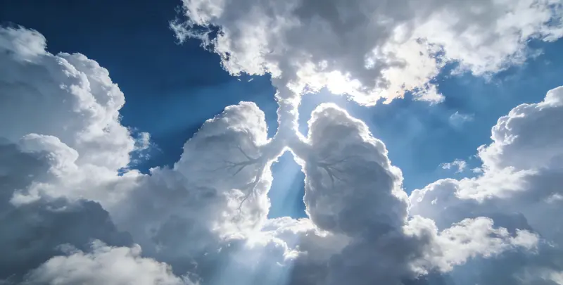 福州肺癌靶向120基因检测（组织）图片1